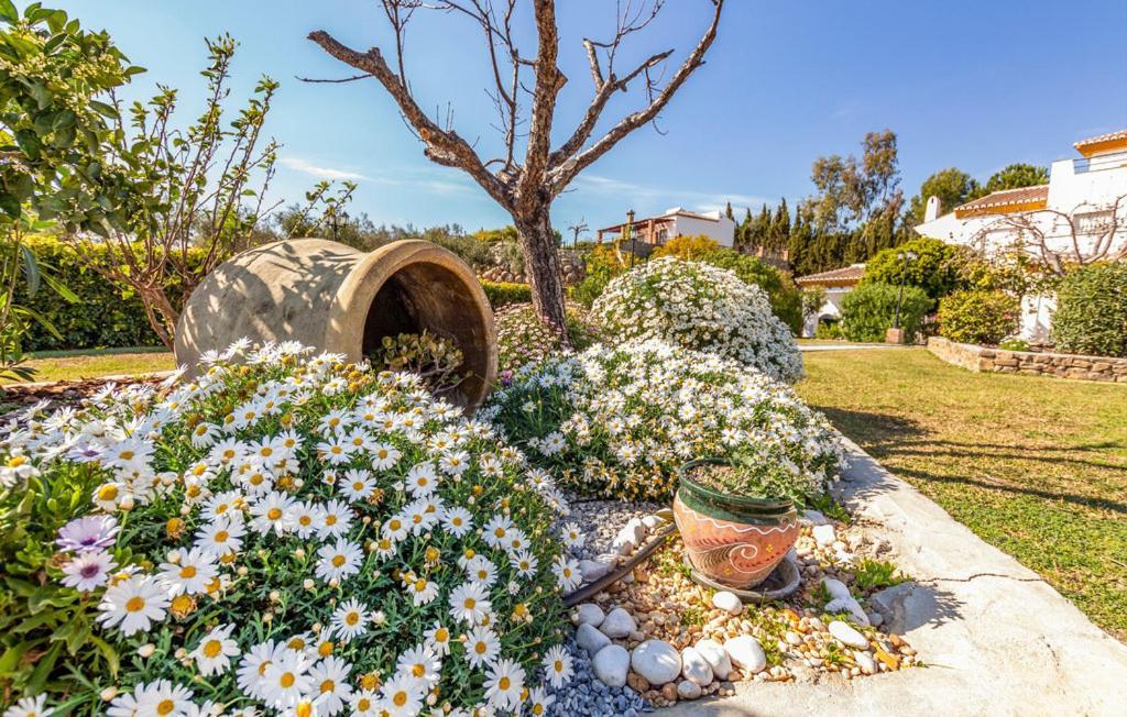 Castillo De Zalia Conjunto Rural Alcaucín Dış mekan fotoğraf